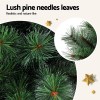 Realistic lush pine needle branches with close-up view.