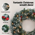 Christmas wreath with frosted leaves and red berries.