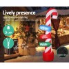 Inflatable candy cane with LED lights and signs.