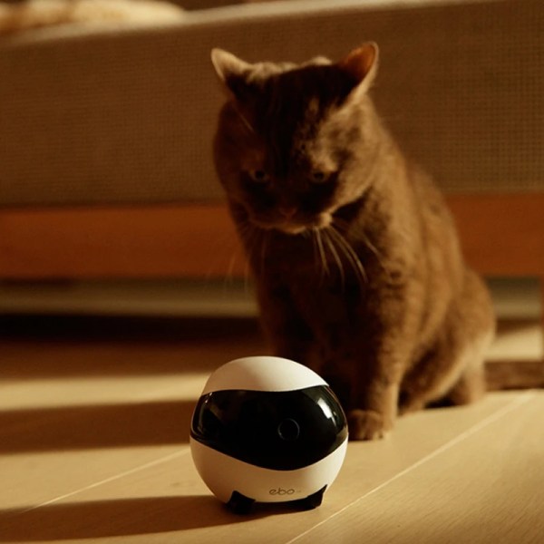 Ebo Smart Home Robot Companion 3