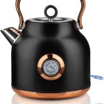 v498 electrickettlebk 202507031631 00.jpg