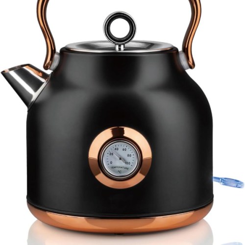 v498 electrickettlebk 202507031631 00.jpg