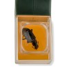 upgraded version of insect catcher handheld bee insect clamp cockroach spider insect catching tool with magnifying glass Upgraded Version Of Insect Catcher Handheld Bee Insect Clamp Cockroach Spider Insect Catching Tool With Magnifying Glass 2