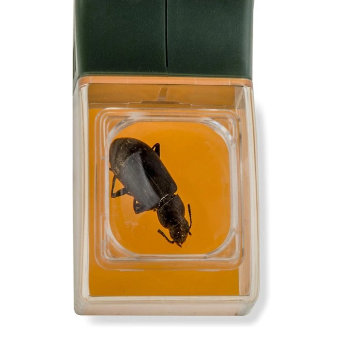 upgraded version of insect catcher handheld bee insect clamp cockroach spider insect catching tool with magnifying glass Upgraded Version Of Insect Catcher Handheld Bee Insect Clamp Cockroach Spider Insect Catching Tool With Magnifying Glass 2