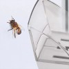 Insect Catcher Handheld Insect Catcher Spider Catcher Bee Insect Clamp Artifact Insect Catching Tool 2