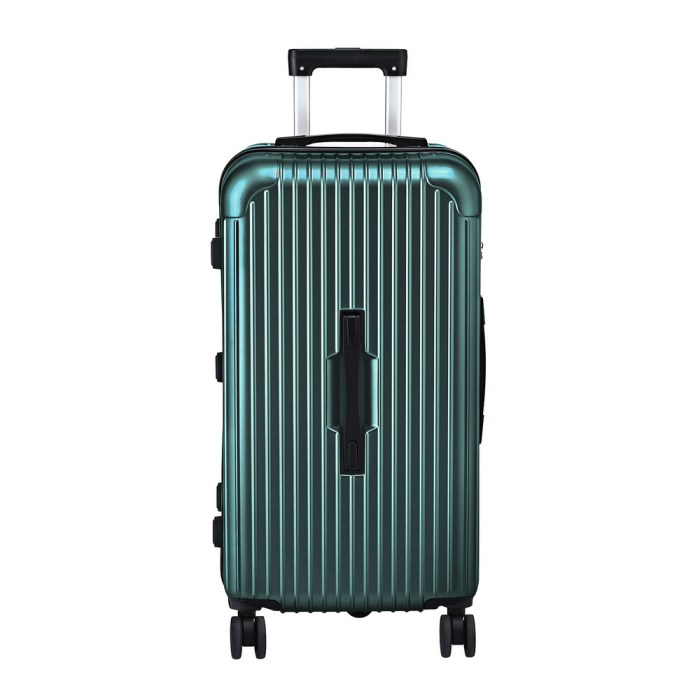 wanderlite 28 trunk luggage suitcase travel 5 wheels type c port tsa green" wanderlite 28 trunk luggage suitcase travel 5 wheels type c port tsa green"
