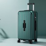 wanderlite 28 trunk luggage suitcase travel 5 wheels type c port tsa green"