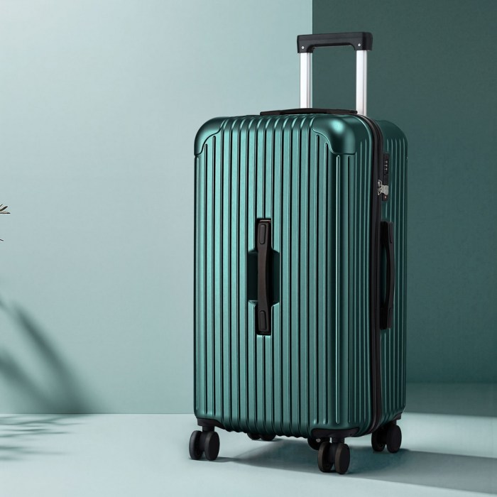 wanderlite 28 trunk luggage suitcase travel 5 wheels type c port tsa green" wanderlite 28 trunk luggage suitcase travel 5 wheels type c port tsa green"