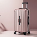 wanderlite 28 trunk luggage suitcase travel 5 wheels type c port tsa rose gold"