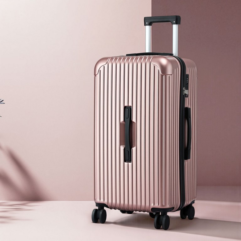 wanderlite 28 trunk luggage suitcase travel 5 wheels type c port tsa rose gold"