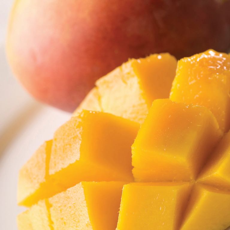 summer mango wax melts 2.5oz summer mango wax melts 2.5oz