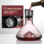 carla home iceberg wine decanter with aerator filter and lid