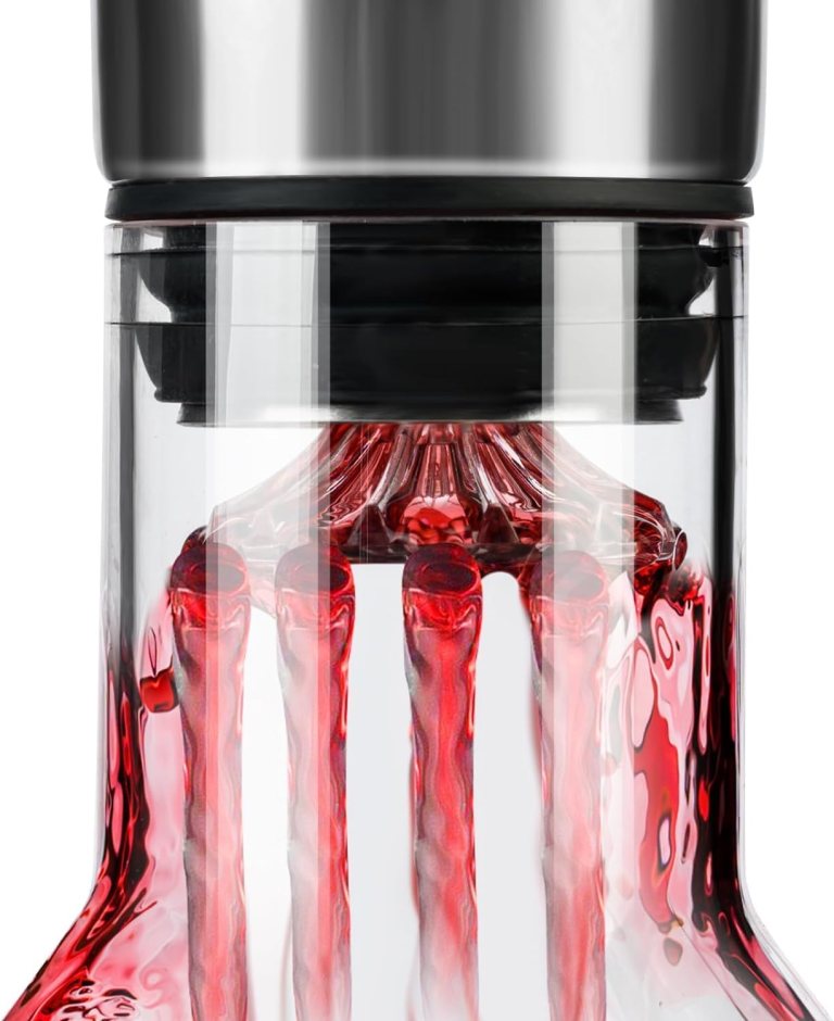 carla home iceberg wine decanter with aerator filter and lid