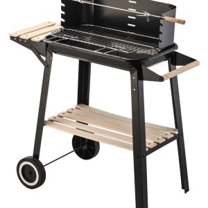 v196 bq260 223400 00.jpg