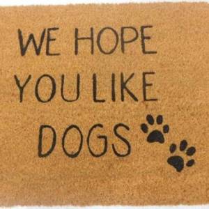 v637 e423723 202508252010 00.jpg