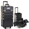 case mu 4t 081 gdbk 00.jpg