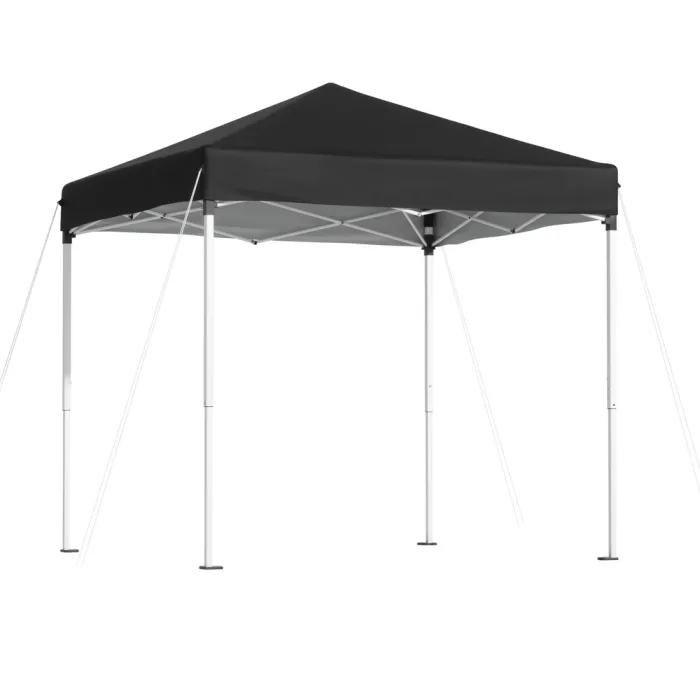 gazebo t 2x2 f ec bk 202506111510 00.jpg gazebo t 2x2 f ec bk 202506111510 00.jpg