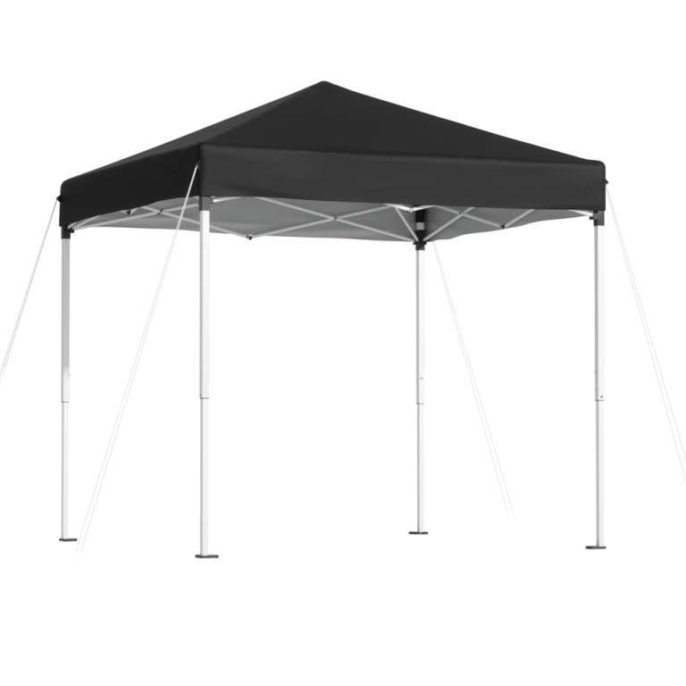 gazebo t 2x2 f ec bk 202506111510 00.jpg