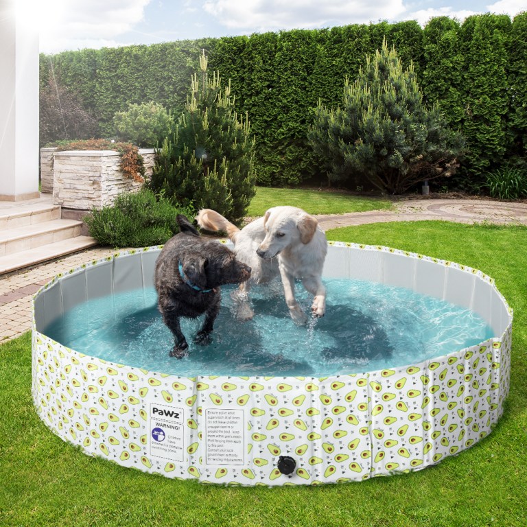 pawz 160cm portable pet swimming pool xxl xx large