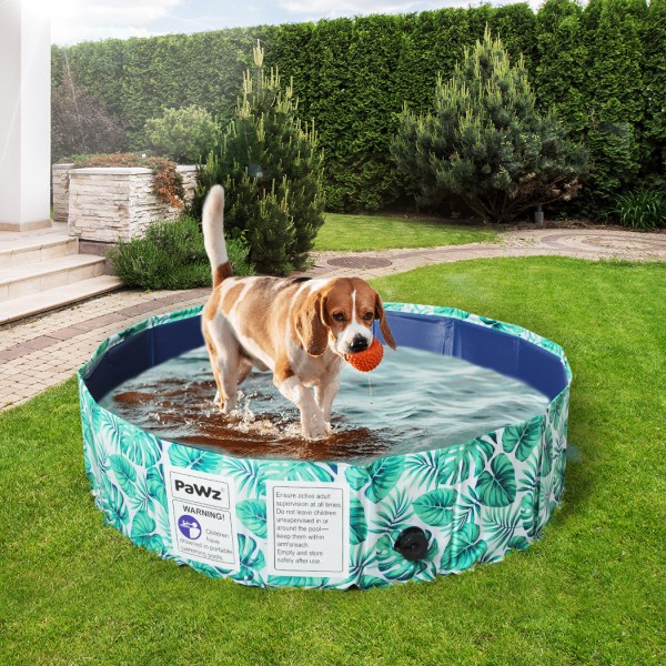 pawz 100cm pet dog swimming pool cat l large