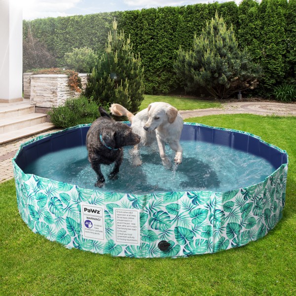 pawz 160cm pet dog swimming pool cat xxl xx large