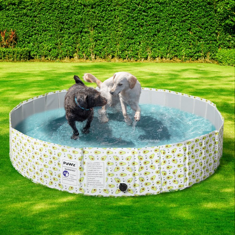 pawz 160cm portable pet swimming pool xxl xx large