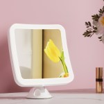 embellir makeup mirror 10x magnification led light adjustable rotation cordless suction cup
