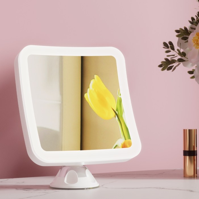 embellir makeup mirror 10x magnification led light adjustable rotation cordless suction cup