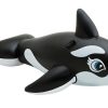v1032 ixwhale 58561 202508201040 00.jpg v1032 ixwhale 58561 202508201040 00.jpg