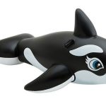 v1032 ixwhale 58561 202508201040 00.jpg v1032 ixwhale 58561 202508201040 00.jpg