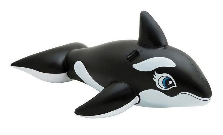 v1032 ixwhale 58561 202508201040 00.jpg v1032 ixwhale 58561 202508201040 00.jpg