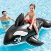 intex whale ride on 58561 intex whale ride on 58561