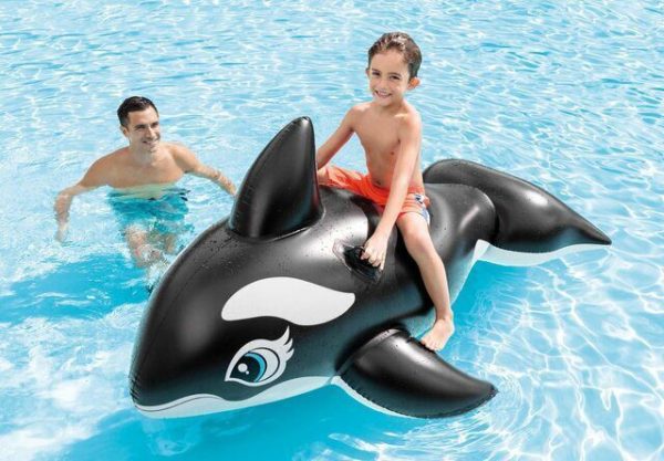 intex whale ride on 58561 intex whale ride on 58561
