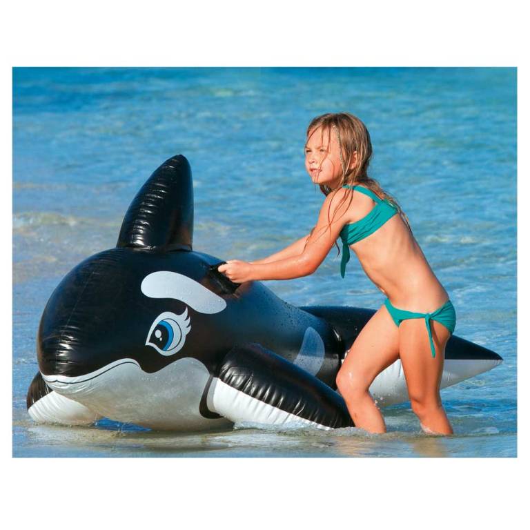 intex whale ride on 58561 intex whale ride on 58561