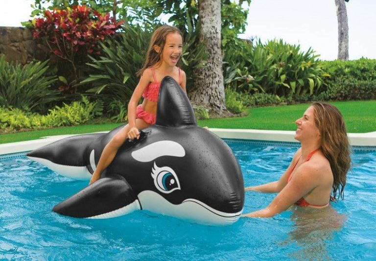 intex whale ride on 58561 intex whale ride on 58561