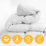 casa decor silk touch quilt 360gsm all seasons antibacterial hypoallergenic single white