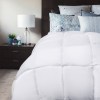 royal comfort 800gsm silk blend quilt duvet ultra warm winter weight single white royal comfort 800gsm silk blend quilt duvet ultra warm winter weight single white