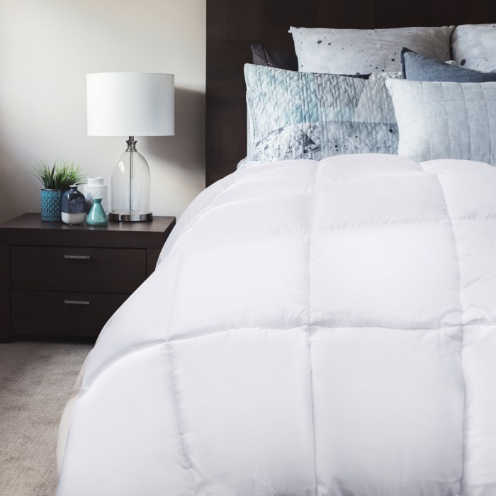 royal comfort 800gsm silk blend quilt duvet ultra warm winter weight single white royal comfort 800gsm silk blend quilt duvet ultra warm winter weight single white