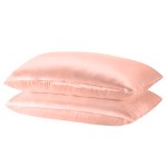 royal comfort mulberry soft silk hypoallergenic pillowcase twin pack 51 x 76cm blush royal comfort mulberry soft silk hypoallergenic pillowcase twin pack 51 x 76cm blush