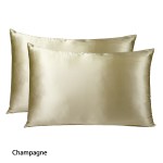 royal comfort mulberry soft silk hypoallergenic pillowcase twin pack 51 x 76cm champagne