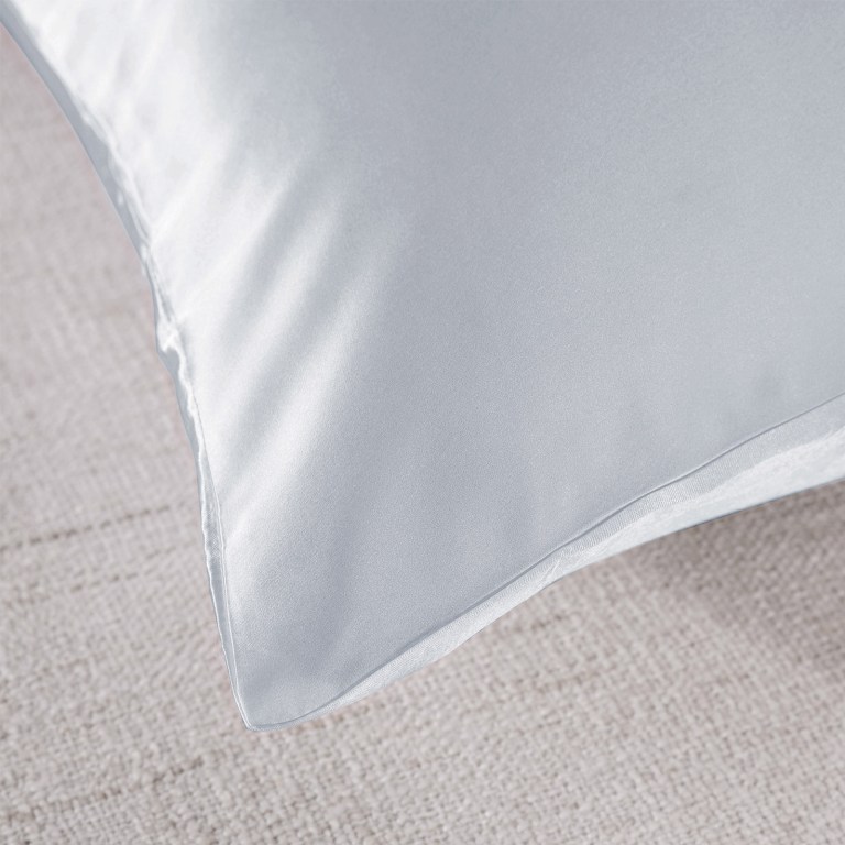 royal comfort pure silk pillow case 100% mulberry silk hypoallergenic pillowcase silver