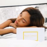 royal comfort pure silk pillow case 100% mulberry silk hypoallergenic pillowcase silver
