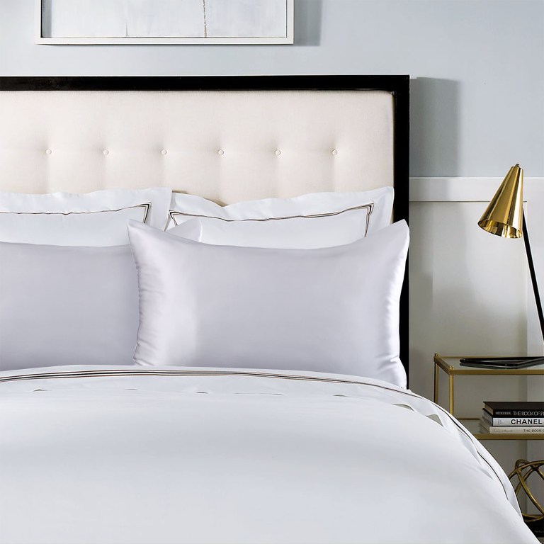 royal comfort pure silk pillow case 100% mulberry silk hypoallergenic pillowcase silver