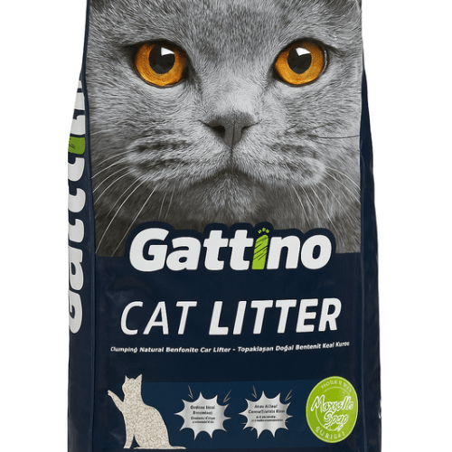 v485 gattinosoap15l 202511171055 00.png