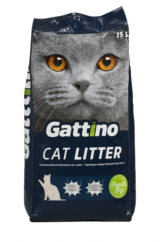 v485 gattinosoap15l 202511171055 00.png v485 gattinosoap15l 202511171055 00.png