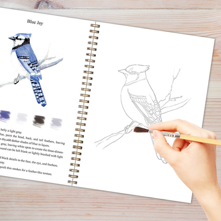 bird 2 pack watercolor painting set premium bird themed coloring books with watercolor paints (22.86×16.51cm) artist grade workbook kit bird 2 pack watercolor painting set premium bird themed coloring books with watercolor paints (22.86×16.51cm) artist grade workbook kit
