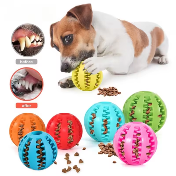 green tpr dog chew ball set – 3 piece size combination (small, medium, large) with food hiding design for teeth cleaning and mental stimulation in australia