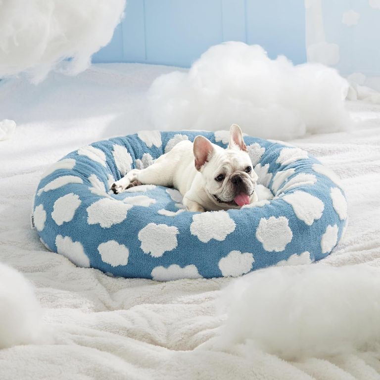 50cm round pet bed blue sky & clouds design soft plush donut cuddler for small dogs & cats calming anxiety relief & all season comfort 50cm round pet bed blue sky & clouds design soft plush donut cuddler for small dogs & cats calming anxiety relief & all season comfort