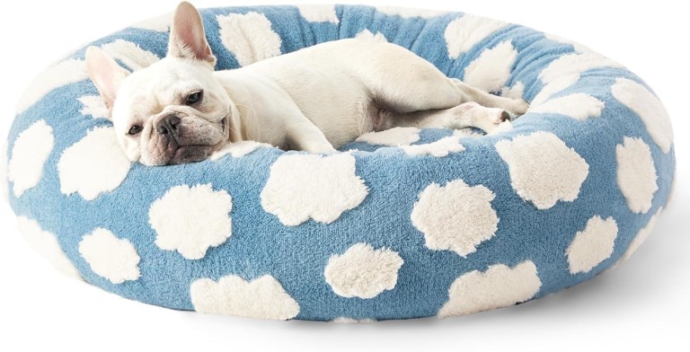 50cm round pet bed blue sky & clouds design soft plush donut cuddler for small dogs & cats calming anxiety relief & all season comfort 50cm round pet bed blue sky & clouds design soft plush donut cuddler for small dogs & cats calming anxiety relief & all season comfort