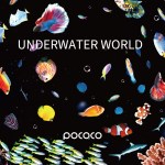Aurora and Deep Sea - Discs for POCOCO Galaxy Projector, 5k Ultra HD, 6 Pieces ( No Projector ) 6